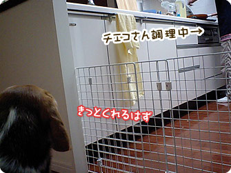 きっとくれるはず
