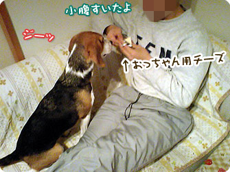 チーズを食べるおっちゃん