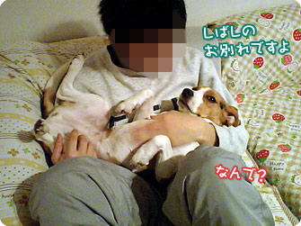 しばしのお別れ