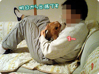 明日から出張です
