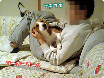 マヂですか！