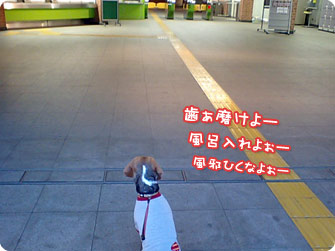 ババンババンバンバン♪