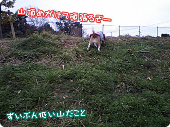山頂めがけて頑張るぞー