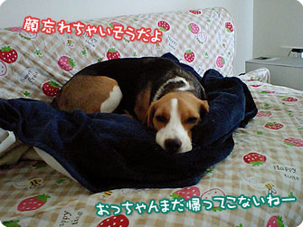 顔忘れちゃいそうだよ