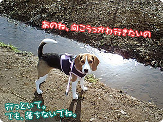 向こう側に行っちゃいなYO