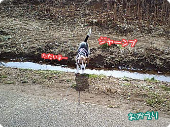 ただいまー