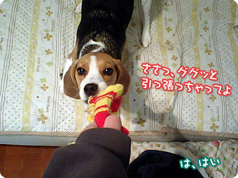 本気出しちゃってYO