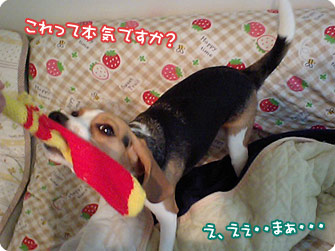 やる気がみられないNE
