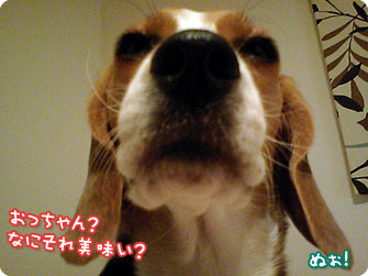 おっちゃん?なにそれ美味い?