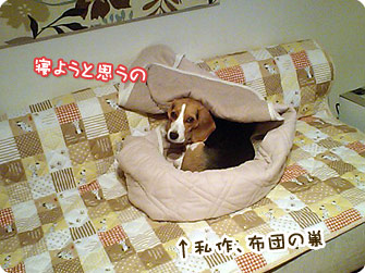 布団の巣で寝るきなこ