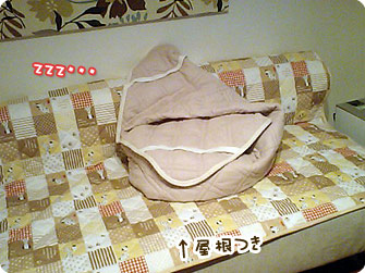 蓋?してみました