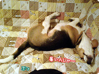 暑かったらしいw
