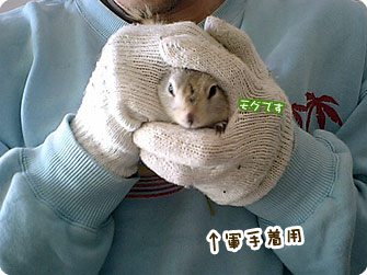 モグなんです