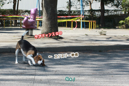 今がチャンスなの