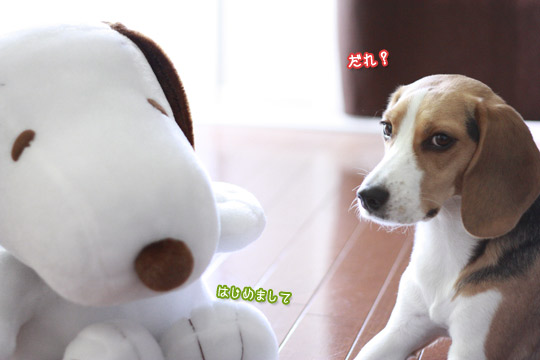 だれ?