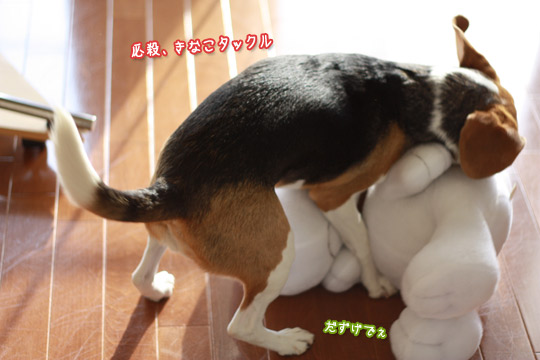 お友達が危険