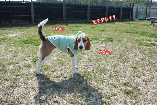 ダレ??
