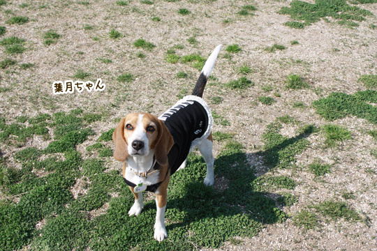 葉月ちゃん