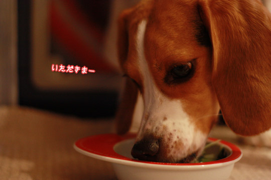食べる