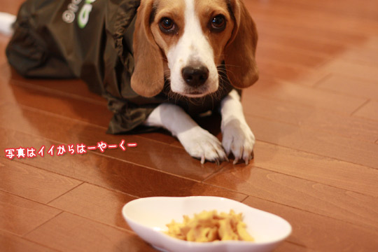 さつまいもクッキー