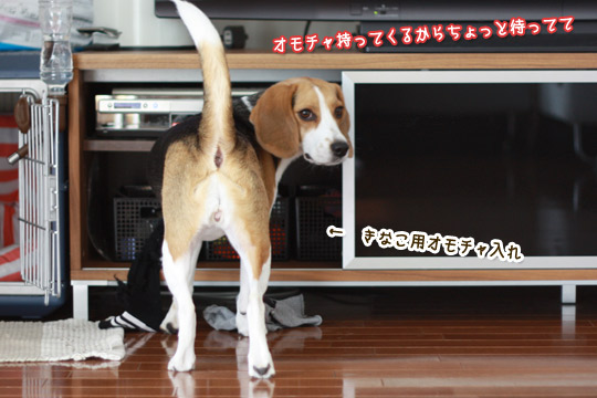 ちょっと待っててね