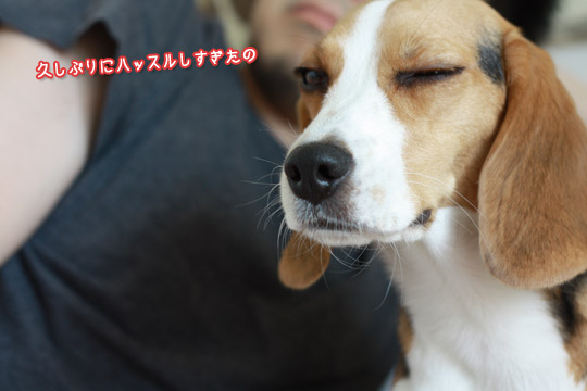 疲れたの
