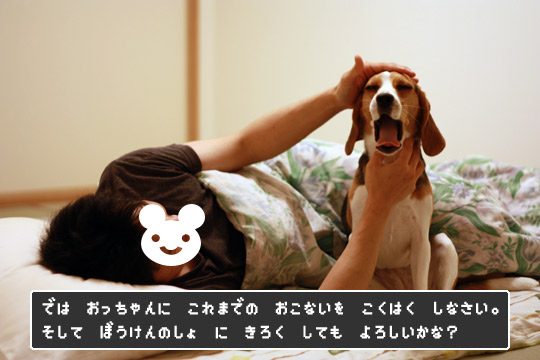 キナコクエスト