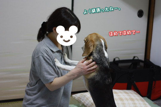 無事到着