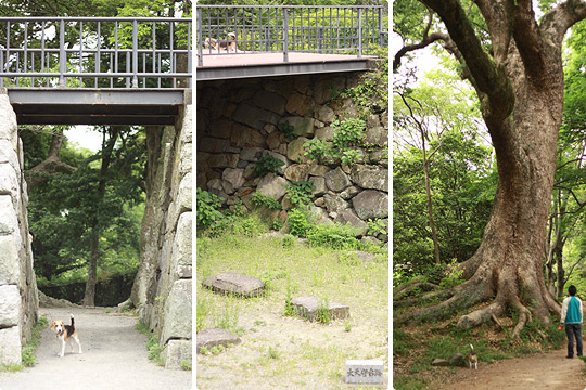 福岡城跡