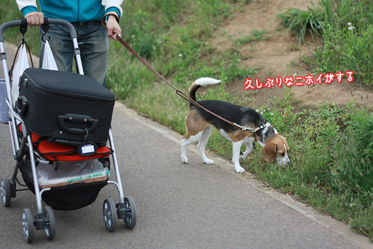 帰宅編