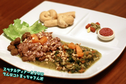 ビーグル きなこ