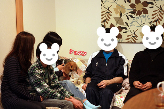 ビーグル きなこ