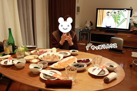 ビーグル きなこ