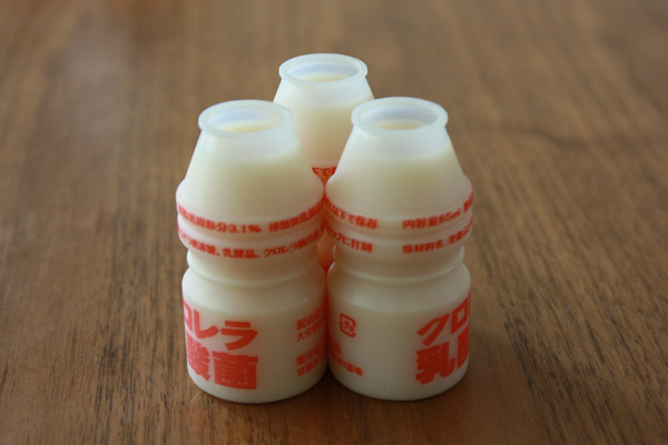 ビーグル きなこ