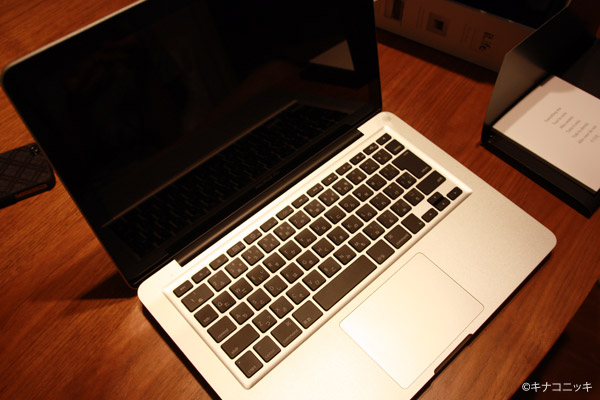 ビーグル きなこ