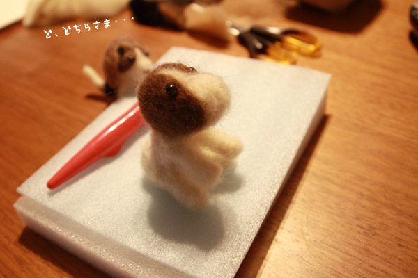 ビーグル きなこ