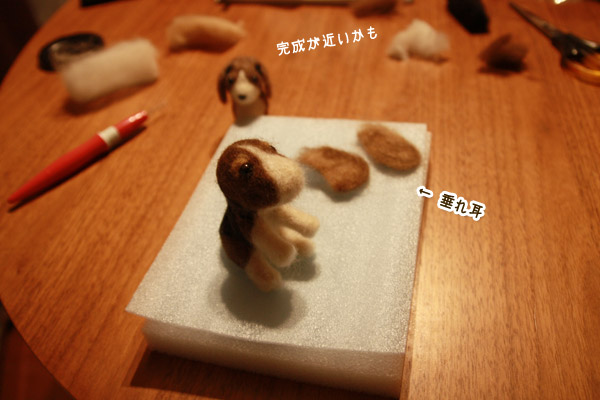 ビーグル きなこ