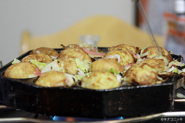 ビーグル きなこ