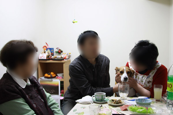 ビーグル きなこ