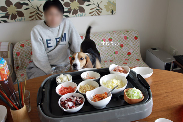 ビーグル きなこ