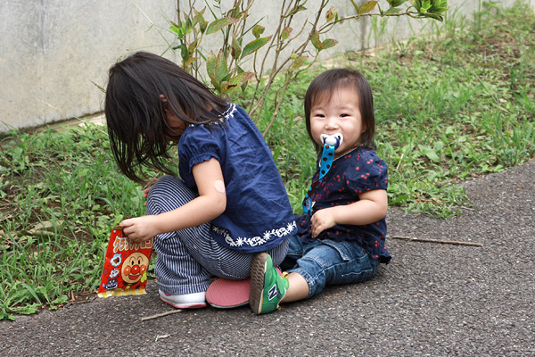 ビーグル きなこ