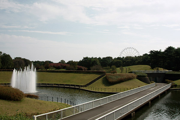 ビーグル きなこ