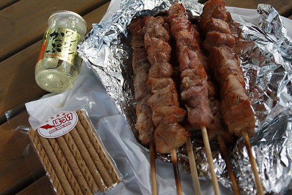 ビーグル きなこ