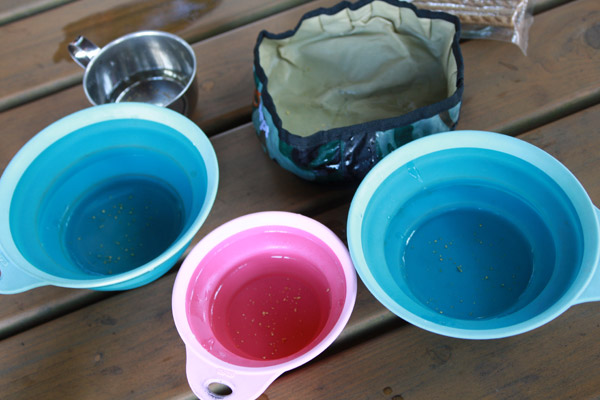 ビーグル きなこ