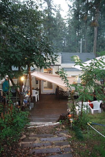 ビーグル　きなこ