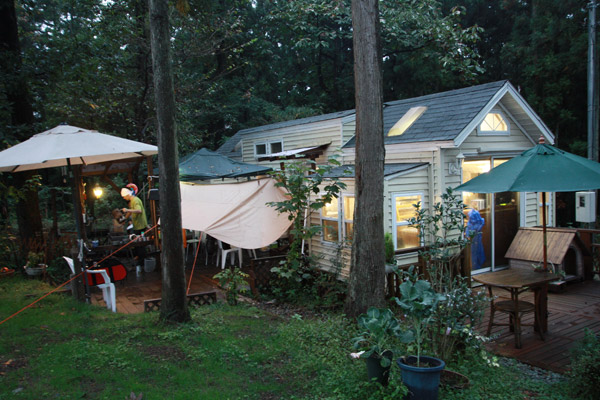 ビーグル　きなこ