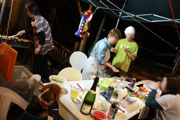 ビーグル　きなこ