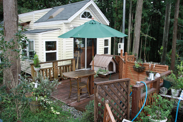 ビーグル　きなこ