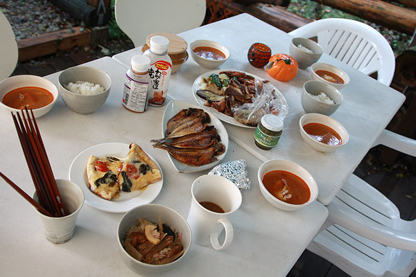 ビーグル　きなこ