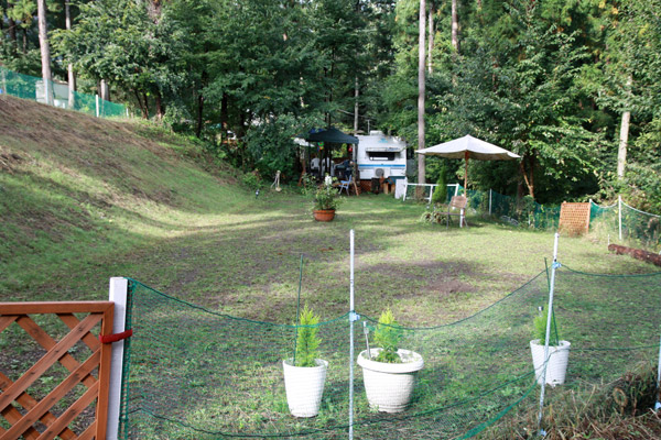 ビーグル　きなこ